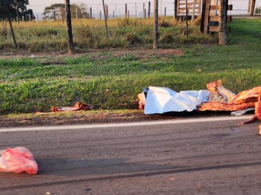 451852687 495854589689255 3980616810479296912 N