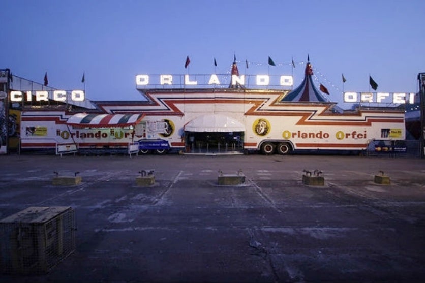 452475636 493136890029903 6034864180828613774 N