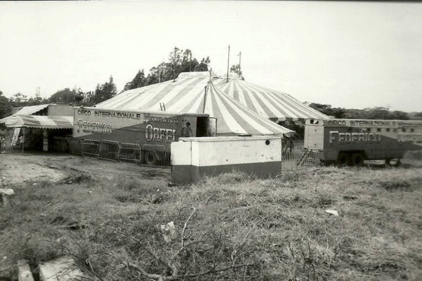 453268928 411225545273974 7518033349060123294 N