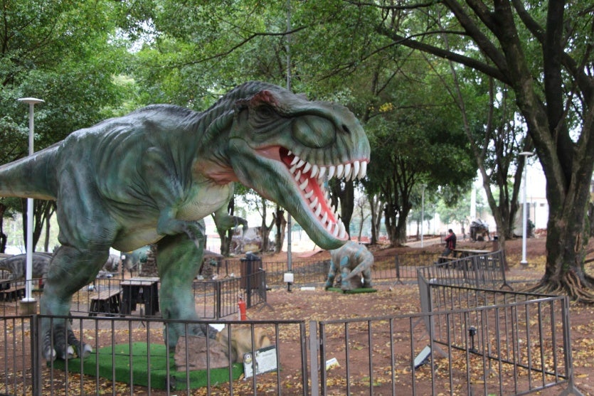 456514193 920728506758599 1999924165855612707 N