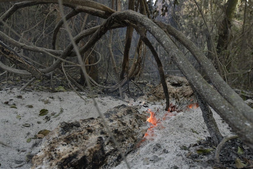 53940984188 619df3b546 C