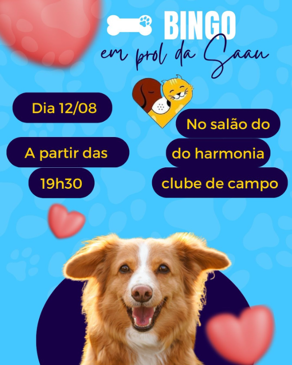 Captura De Tela 2024 08 12 143304