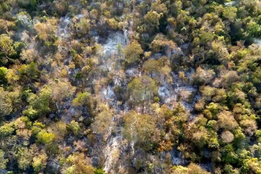 Captura De Tela 2024 08 22 095327