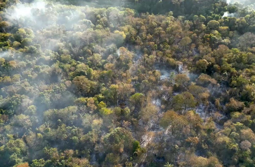 Captura De Tela 2024 08 22 095411