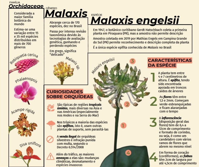 Captura De Tela 2024 08 28 152755