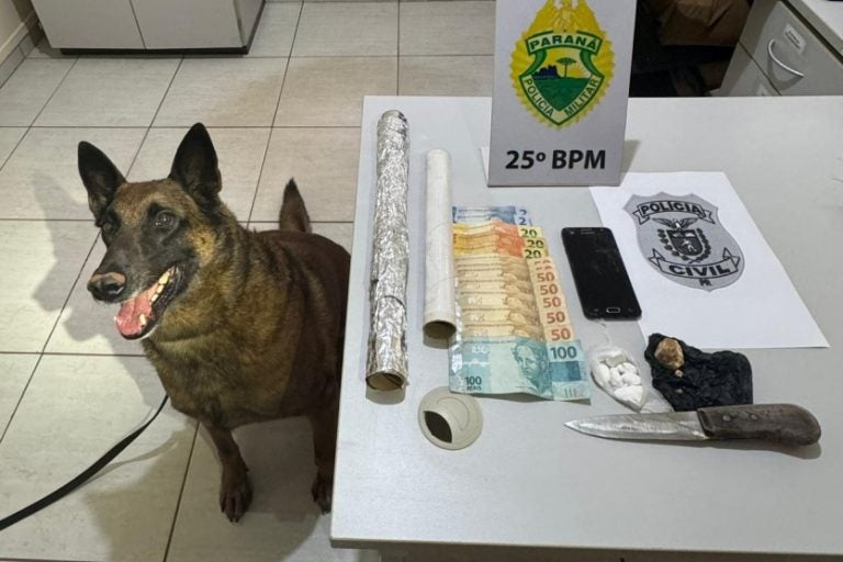 Imagem Do Whatsapp De 2024 08 09 à(s) 18.39.15 8cf992f2