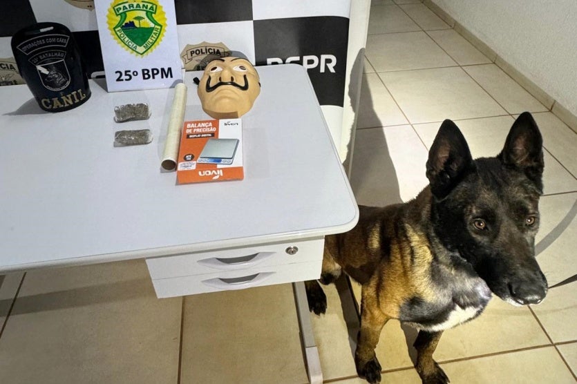 Imagem Do Whatsapp De 2024 08 09 à(s) 18.39.16 D2380c43