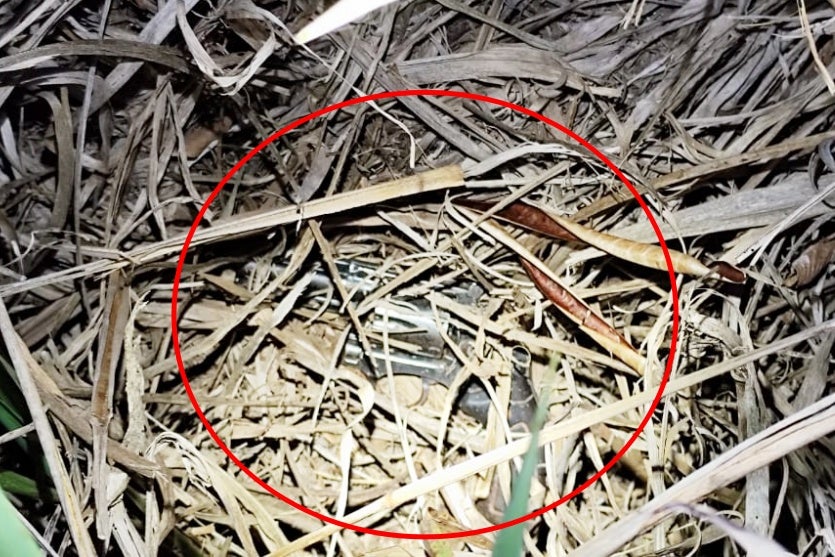 Imagem Do Whatsapp De 2024 08 15 As 11.06.29 8aabfe53