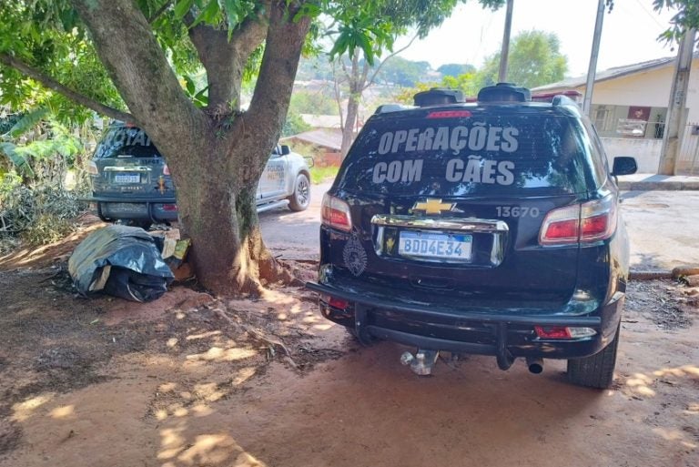 Imagem Do Whatsapp De 2024 08 19 à(s) 16.28.40 Fba0e48d