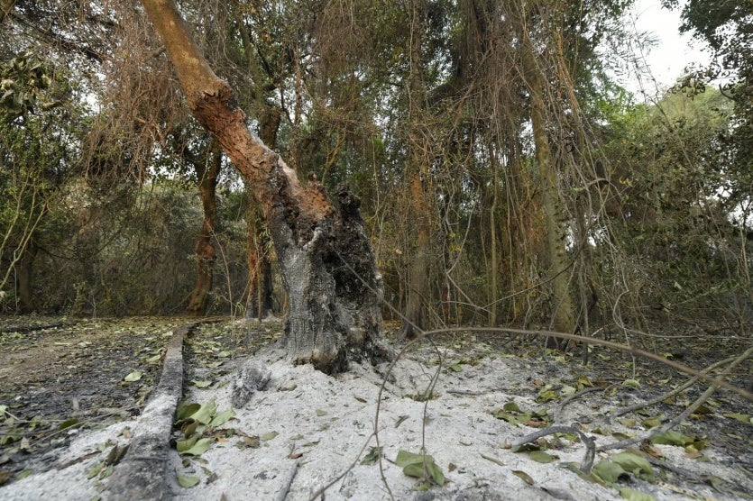 Imagem Do Whatsapp De 2024 08 22 à(s) 17.55.50 581c05a3