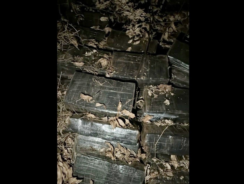 Imagem Do Whatsapp De 2024 08 31 à(s) 08.05.45 50b72b9b