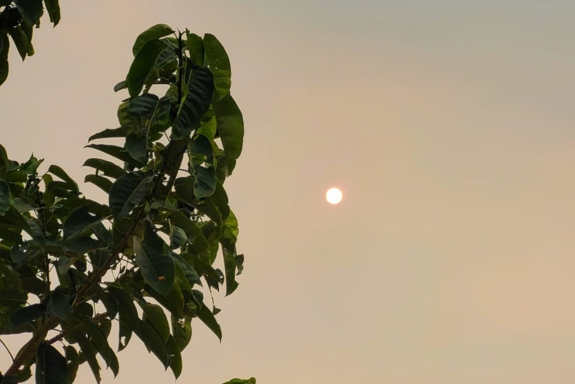 Whatsapp Image 2024 08 05 At 20.27.14(1)