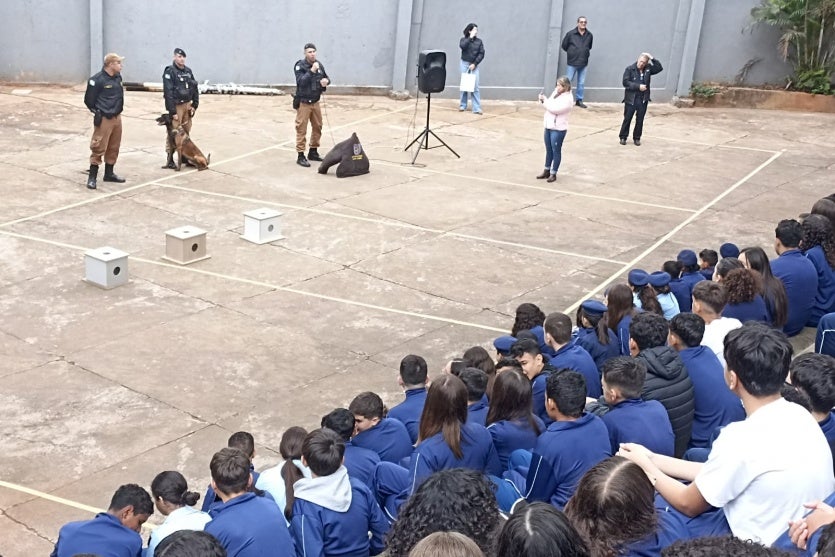 Whatsapp Image 2024 08 09 At 22.05.21