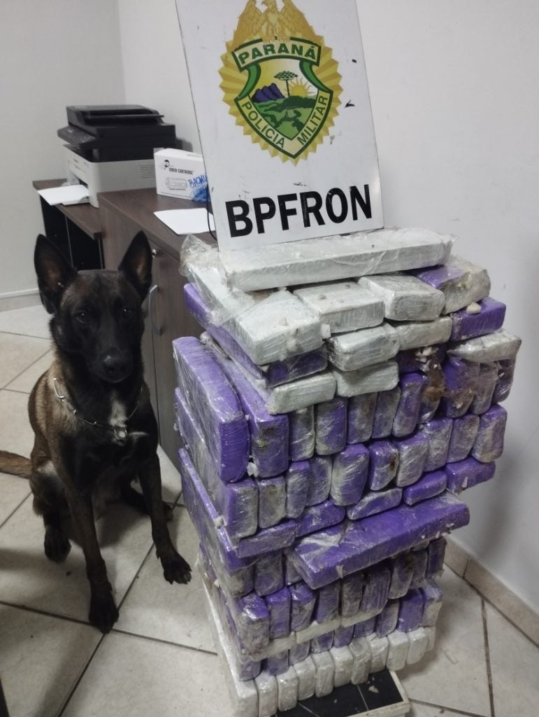 Whatsapp Image 2024 08 13 At 08.33.57 1