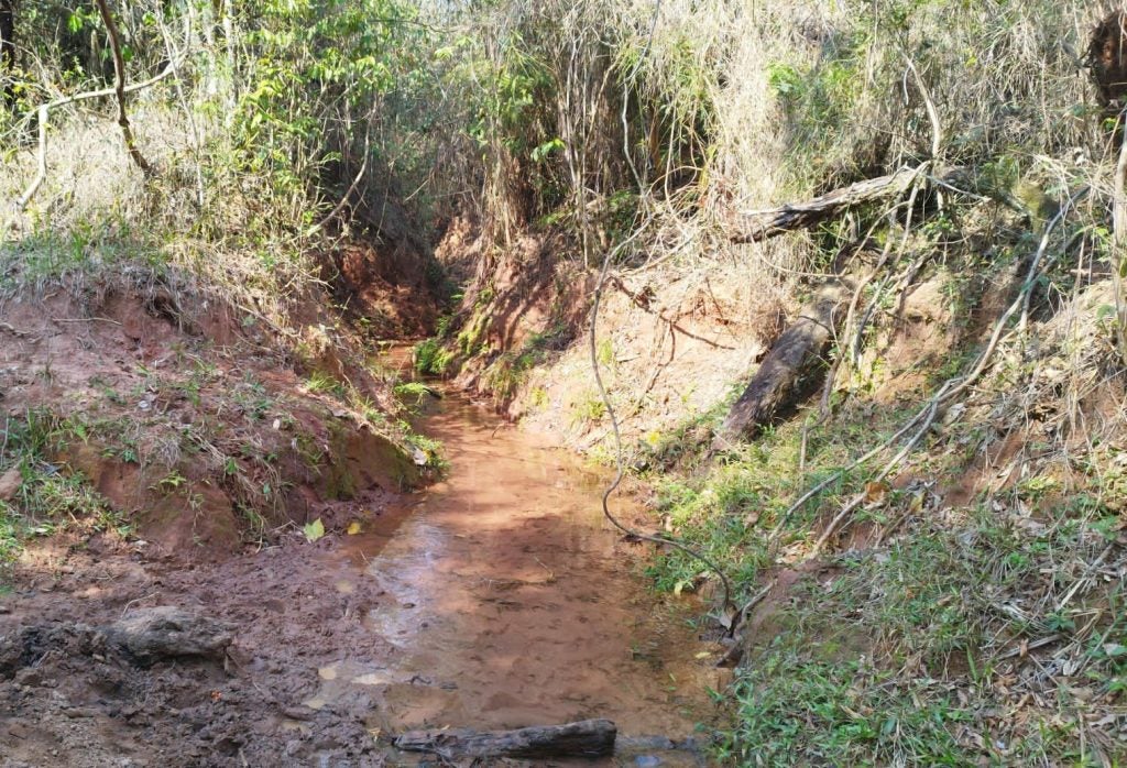 Whatsapp Image 2024 08 20 At 20.32.34