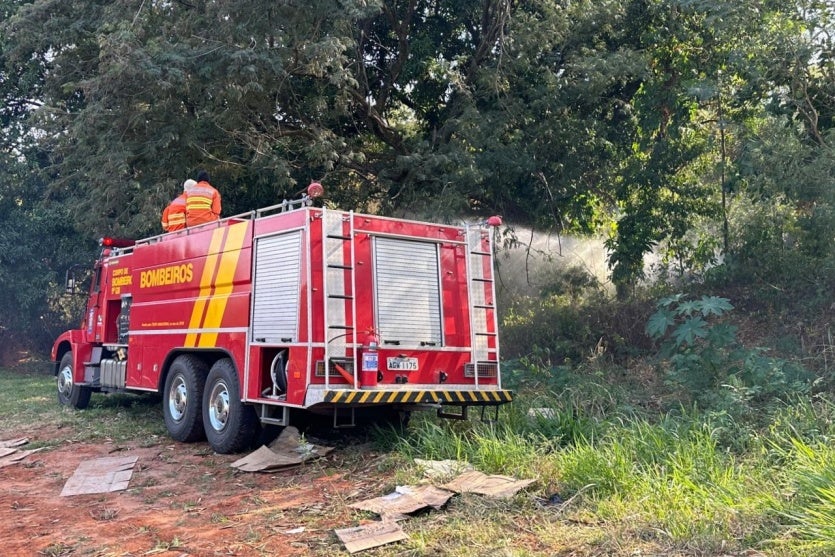 Whatsapp Image 2024 08 21 At 09.47.03