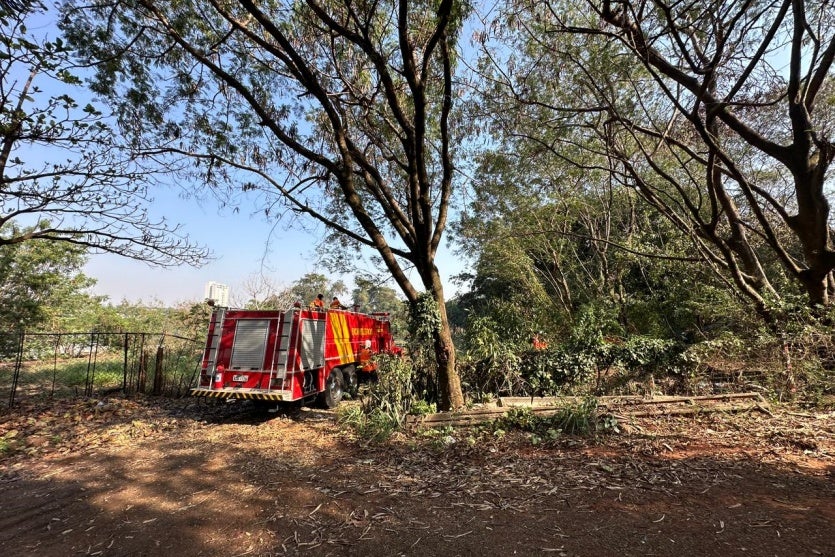 Whatsapp Image 2024 08 21 At 09.47.04