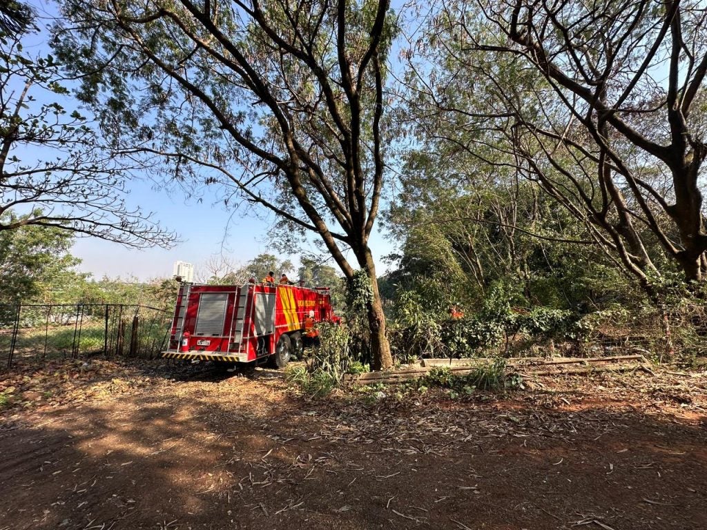 Whatsapp Image 2024 08 21 At 18.32.48