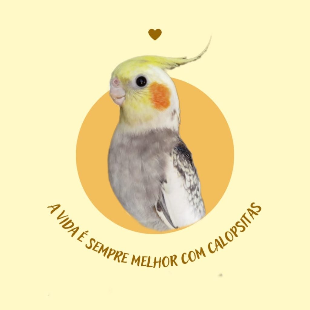 Whatsapp Image 2024 08 22 At 17.23.29