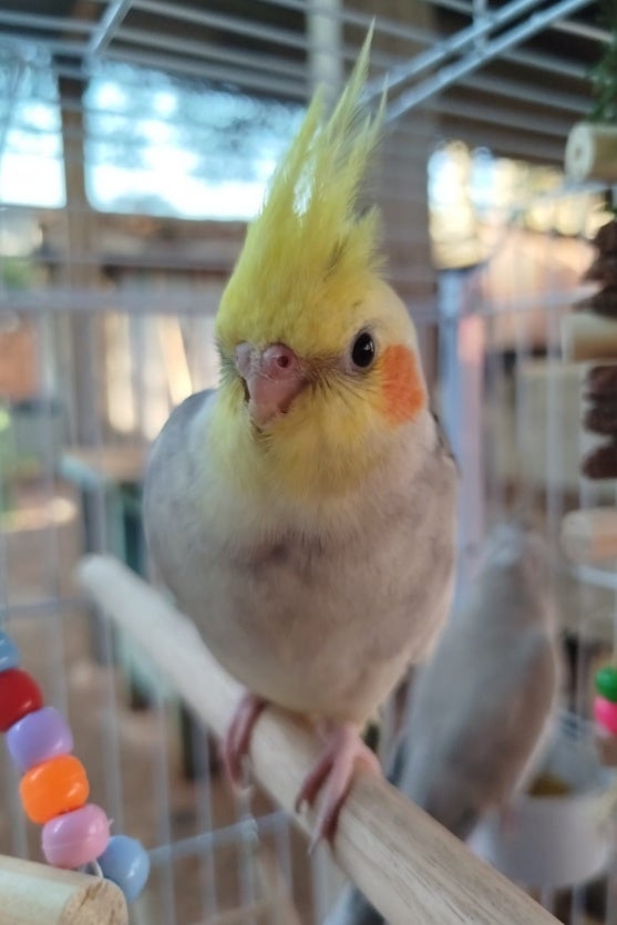 Whatsapp Image 2024 08 23 At 16.09.35 (1)