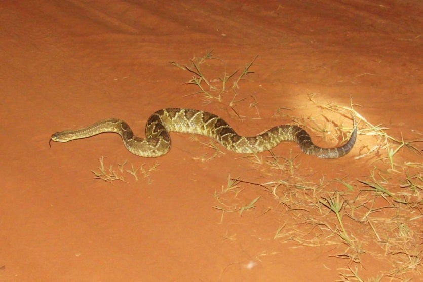 Whatsapp Image 2024 08 28 At 16.40.16