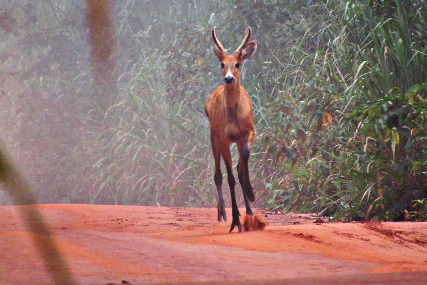 Whatsapp Image 2024 08 28 At 16.40.16(1)