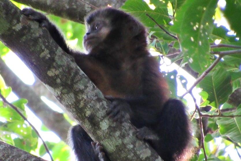 Whatsapp Image 2024 08 28 At 16.40.16(2)