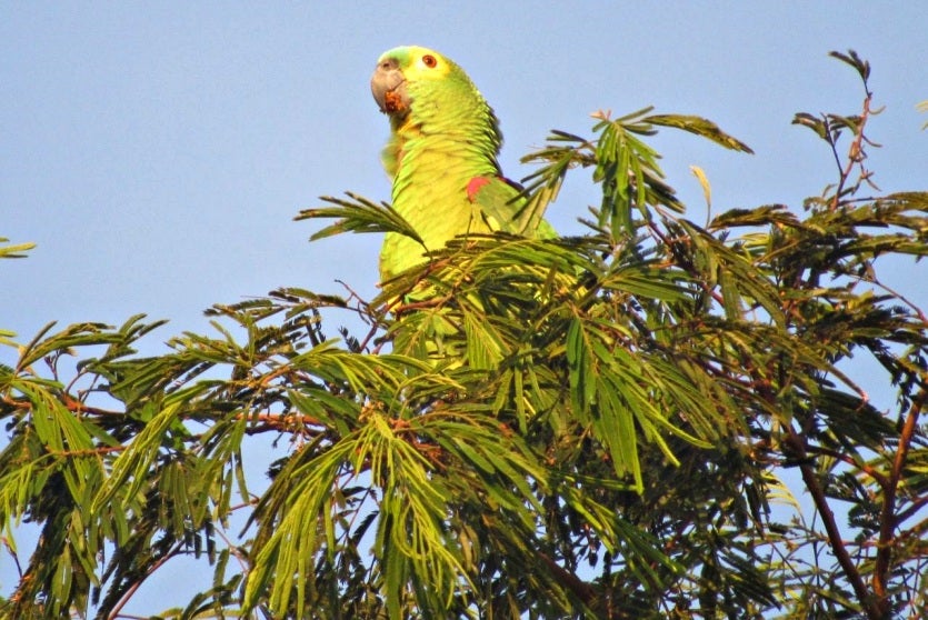 Whatsapp Image 2024 08 28 At 16.40.16(3)