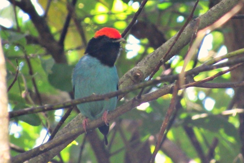 Whatsapp Image 2024 08 28 At 16.40.17