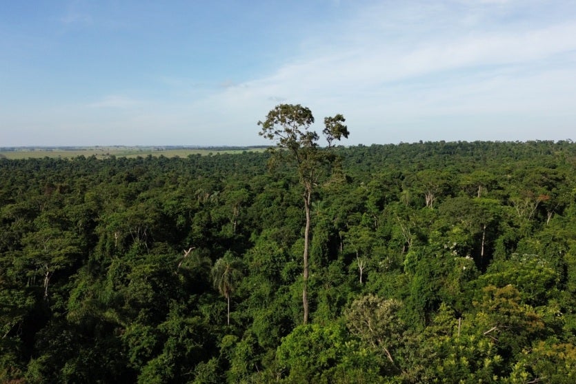 Whatsapp Image 2024 08 28 At 16.40.17(1)