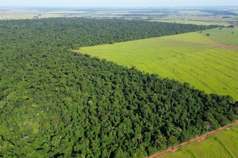 Whatsapp Image 2024 08 28 At 16.40.18