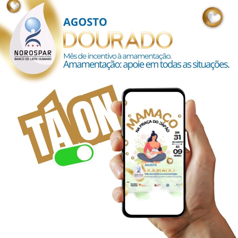 Whatsapp Image 2024 08 30 At 15.22.32