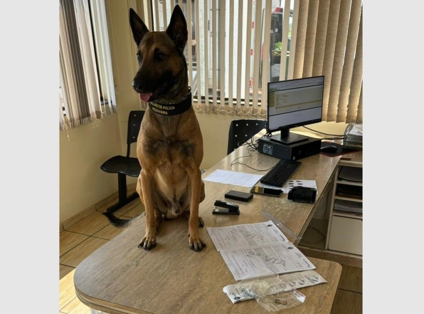 Whatsapp Image 2024 08 30 At 16.39.42