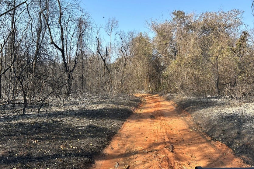 Incendio Umuarama 04 Iat