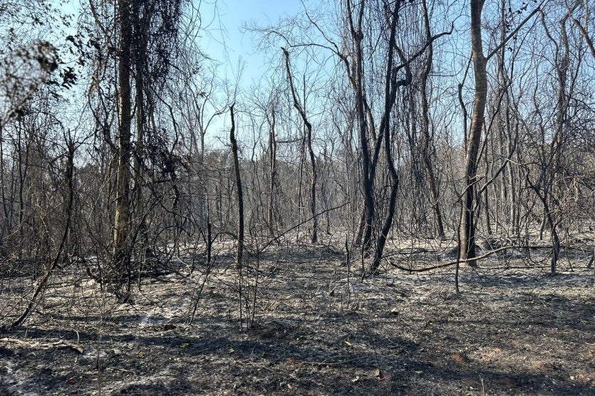 Incendio Umuarama 05 Iat