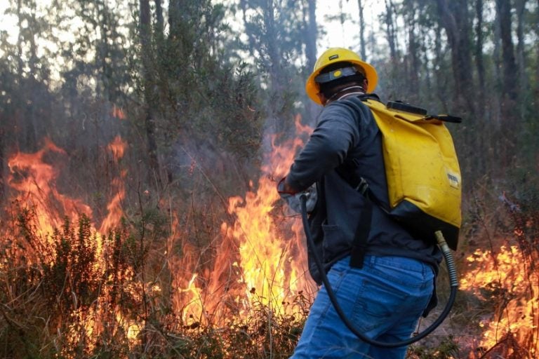 Incendios Em Ucs 03 Gabrielly Pontes Cge