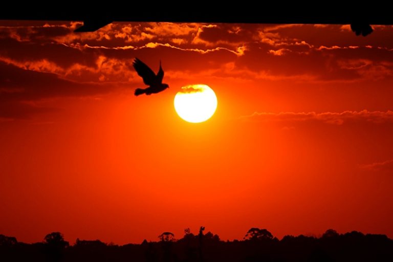 Dia Do Sol Em Curitiba. Foto: José Fernando Ogura