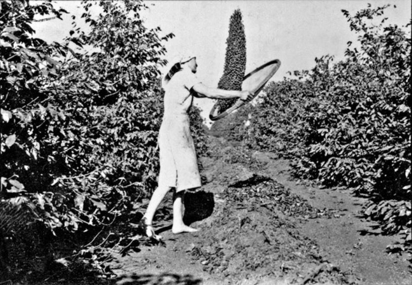 442488683 2207125732955321 5141384981274453006 N