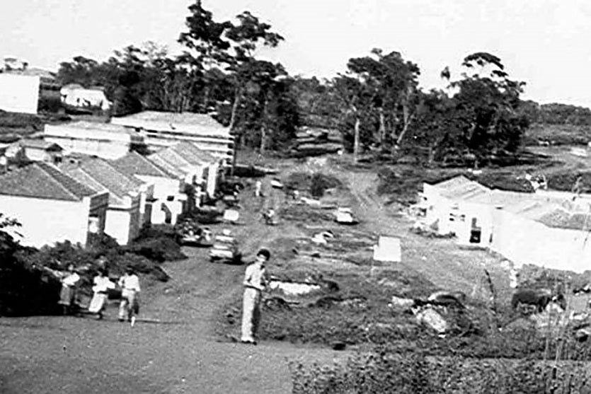 454724704 7284544844981264 4145235106440029218 N