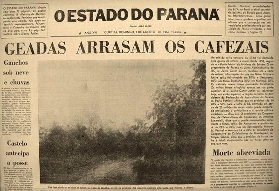 456486351 375830175568870 4426692281375255358 N