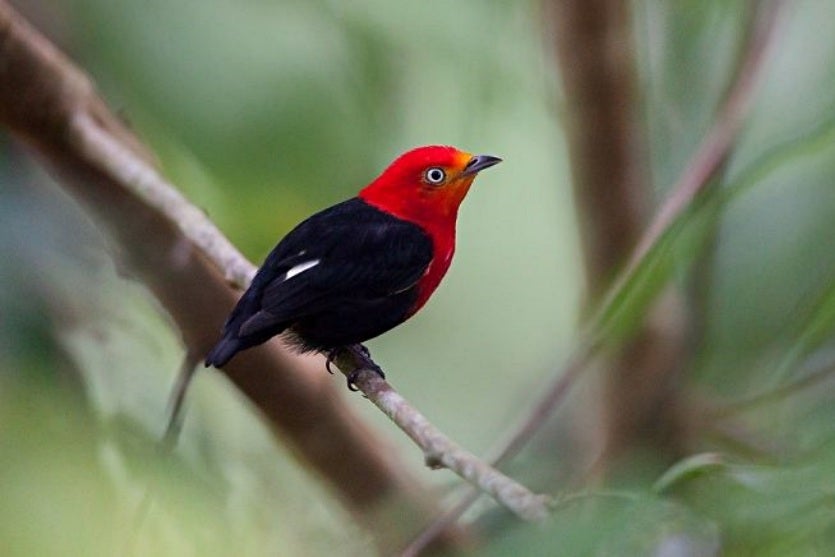 458285947 878373290470677 4990381784584419618 N