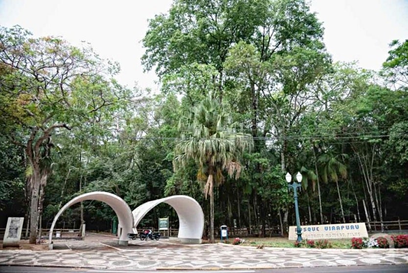 459001944 1198587908077093 6435469962695847114 N