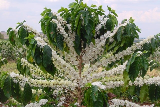 459027859 889117449741485 2531515526342202973 N