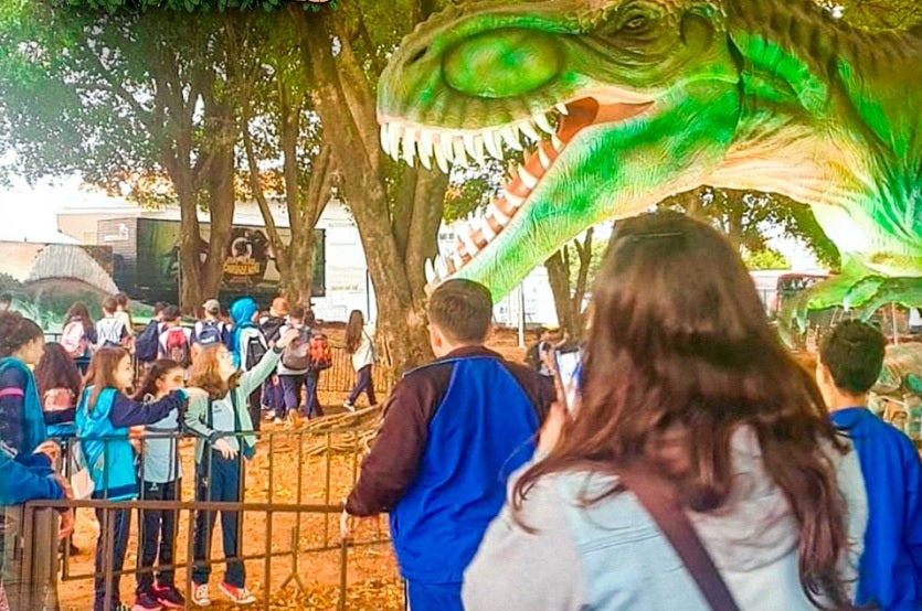 459031403 932939315537518 7684658127307387479 N