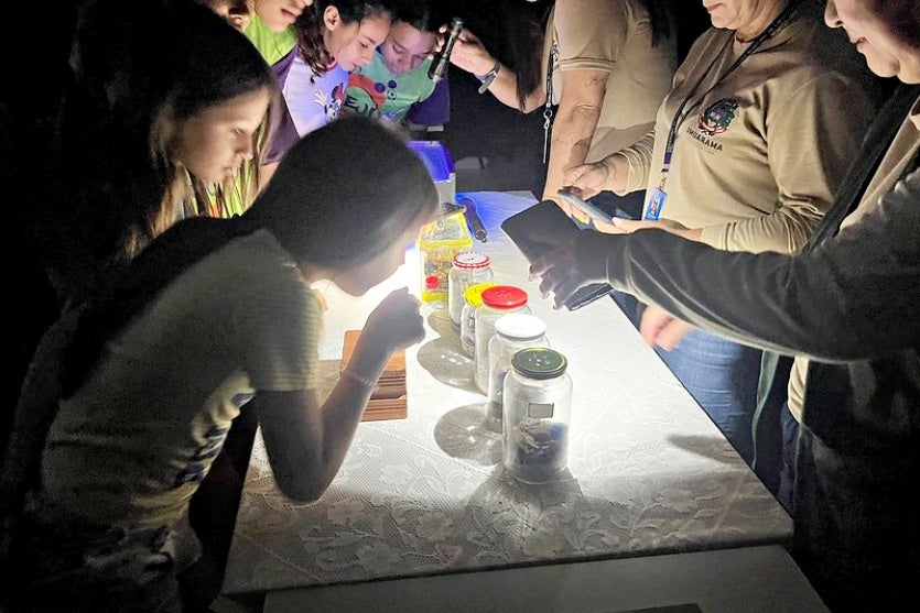 53966628156 D663440f87 C