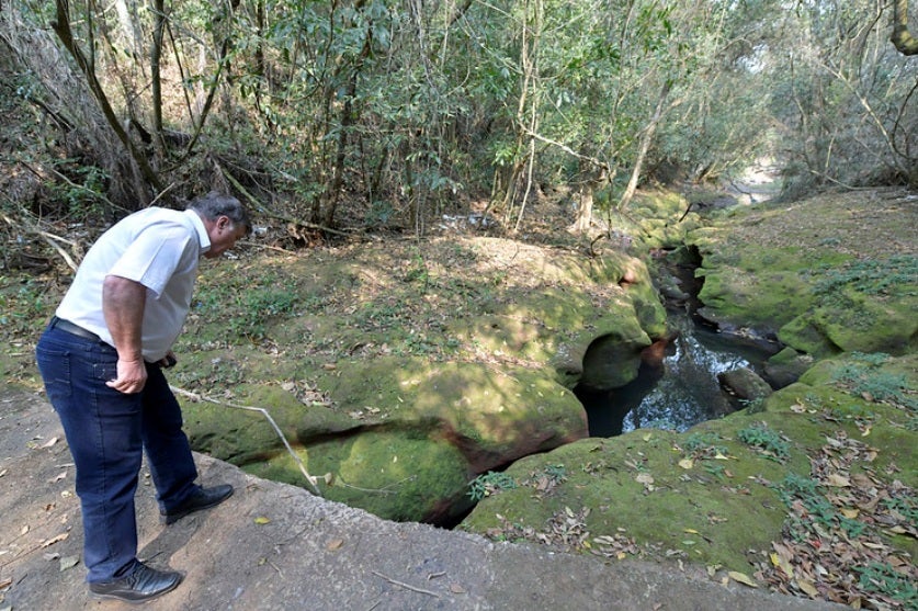 53966787474 08b6957e92 C