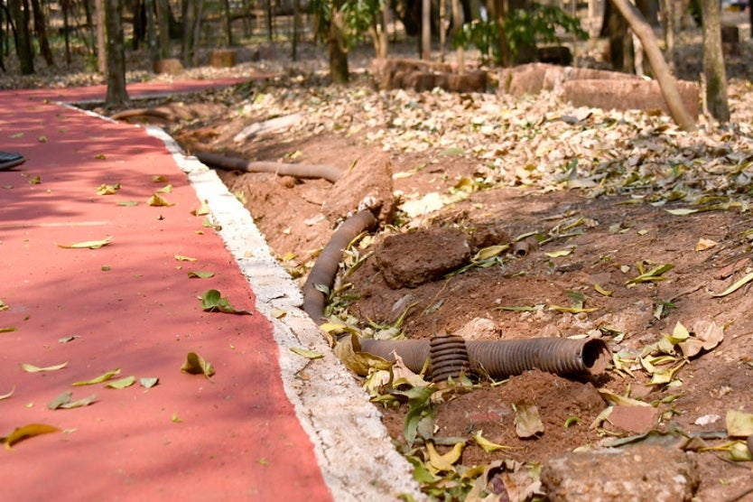 53986208925 4d9d318801 C