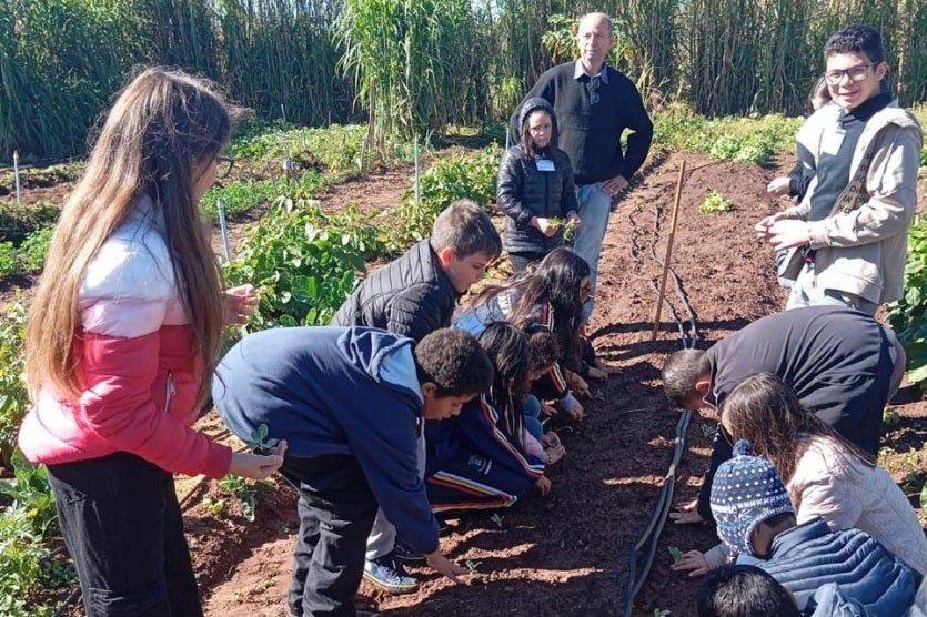 53990868649 D861d47bae O