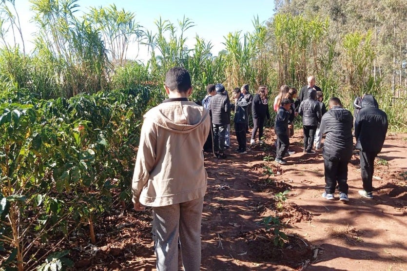 53990868709 7a9b3a76b1 B