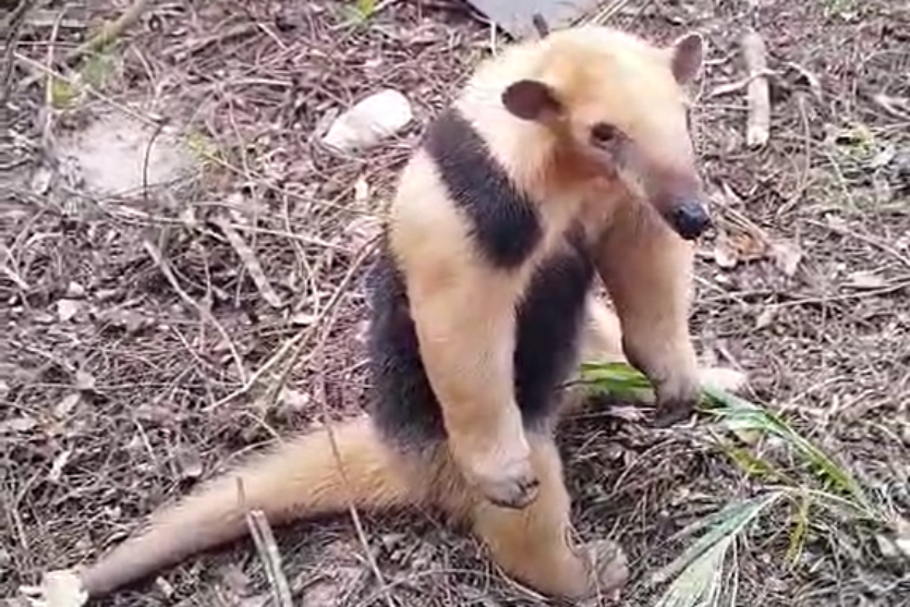 Captura De Tela 2024 09 09 113257